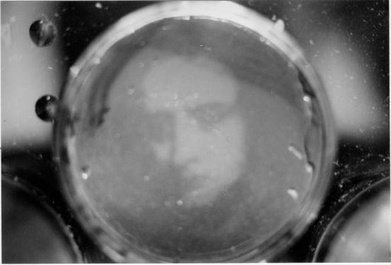 Photographic Bacterial Image of Isaac Newton grown in a petri dish by artist Roy Amiss in 
1997.